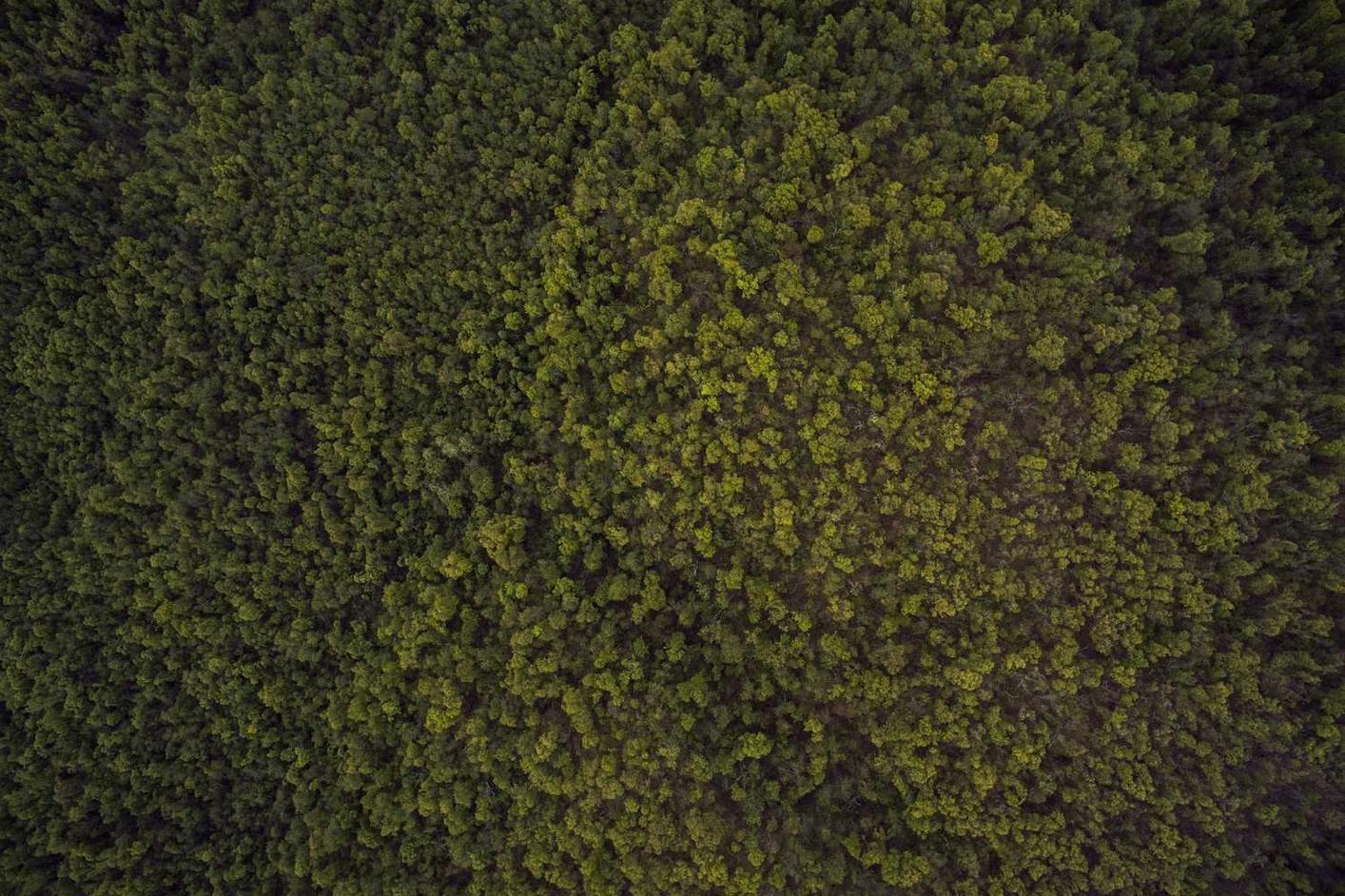 Dolorum ut id dolorem